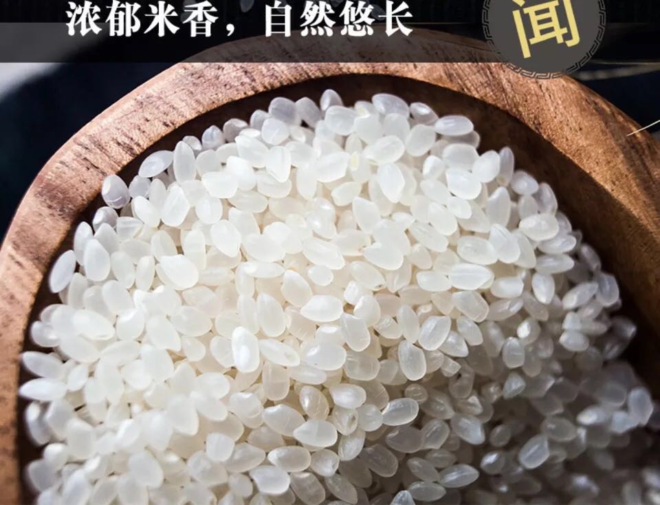 梦幻西游发布网：梦幻西游多少等级能赚钱